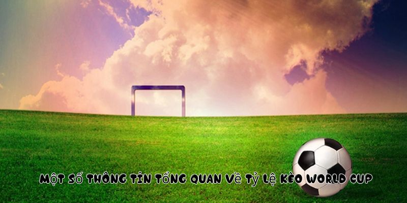 Một số thông tin tổng quan về tỷ lệ kèo World Cup